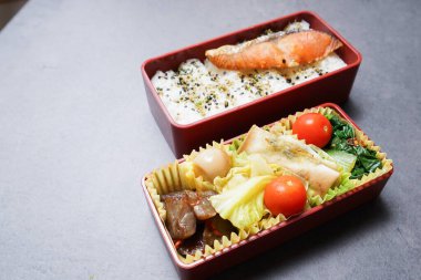 Ev yapımı beslenme çantası, kapat.