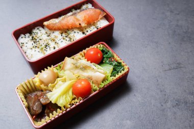 Ev yapımı beslenme çantası, kapat.