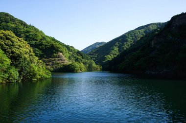 Nehir başı resmi doğa manzarası 
