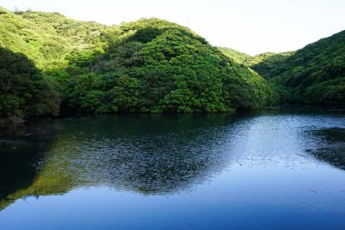 Nehir başı resmi doğa manzarası 