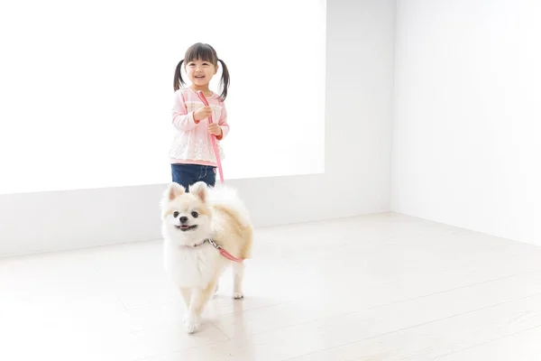 Küçük kız köpeği yürüyüşe çıkarıyor.