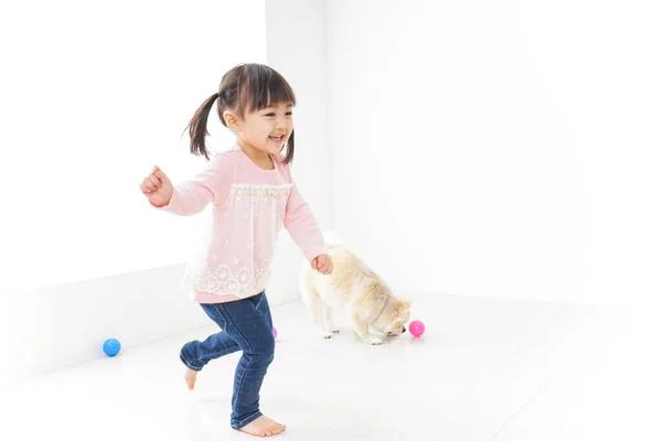 Köpekle Oynayan Çocuk — Stok fotoğraf