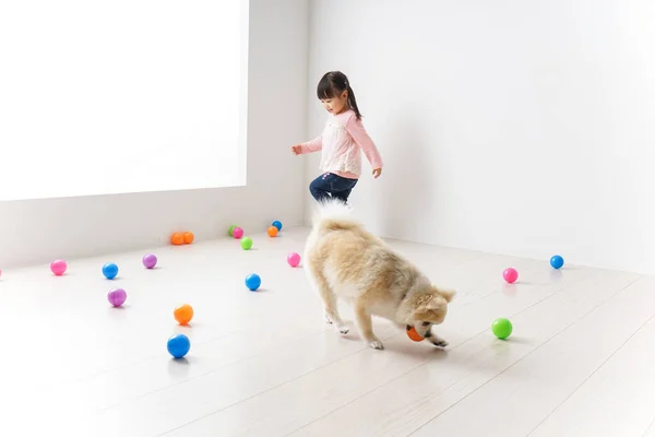 Child Playing Dog — Stock Photo, Image