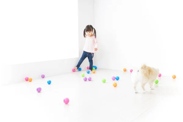 Kind Spelen Met Hond — Stockfoto