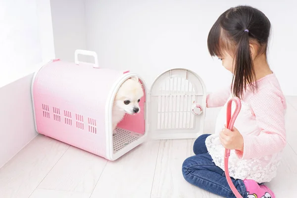 Köpeğe bakan bir çocuk.