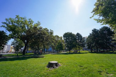 Vienna traveling, City view in Vienna, Austria 