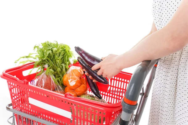 Junge Frau Mit Einkaufswagen — Stockfoto