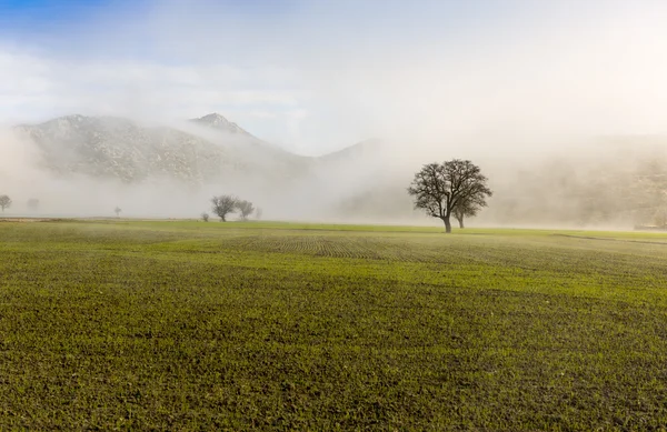 Taurus Mountain och vete fältet landskap, Turkiet — Stockfoto