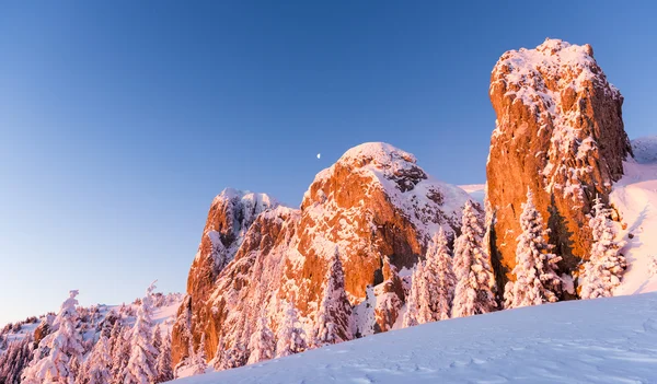 Talvi auringonnousu — kuvapankkivalokuva