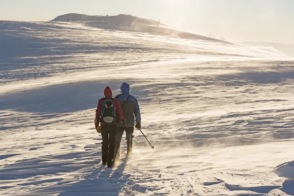 Escursionisti in tempesta di neve — Foto Stock