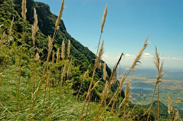 Serra Geral National Park landscape — स्टॉक फ़ोटो, इमेज