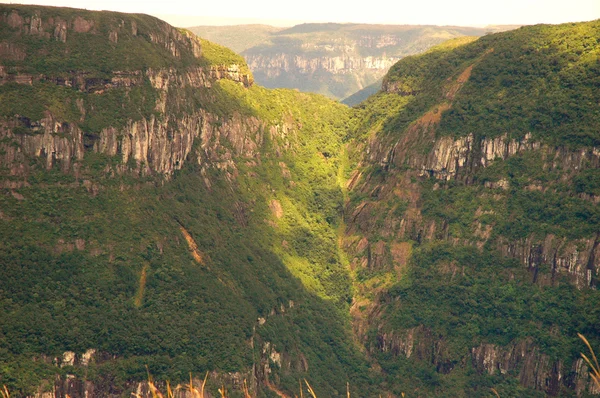 Глибоа ущелина у південній частині Бразилії — стокове фото