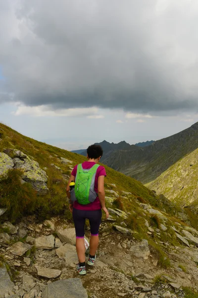 Wandelaar uitgevoerd op berg — Stockfoto