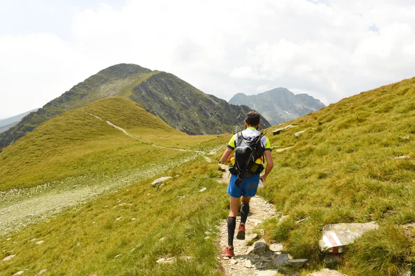 Dağda çalışan uzun yürüyüşe çıkan kimse
