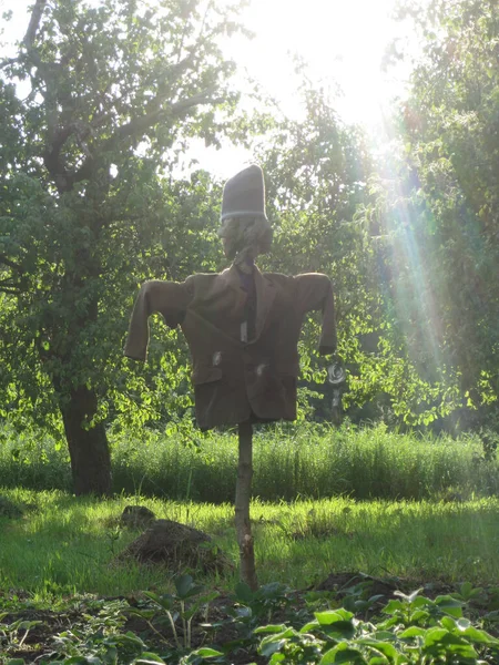 Épouvantail Effrayant Dans Jardin Décourage Les Oiseaux Affamés Beau Paysage — Photo