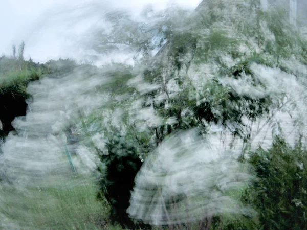 Flor Beleza Selvagem Com Néctar Florescendo Campo Campo Natureza Rural — Fotografia de Stock