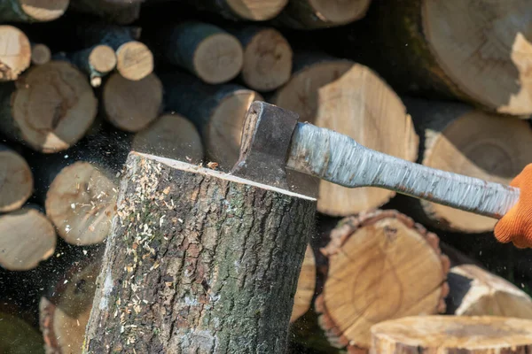 木製のハンドル 木製のチョッピングのための金属斧をテーマにした大きなスチール斧の写真 自然を背景に1本の斧で構成された古い斧を撮影 鍛造斧それは主付属品男性 生存のための自然な斧 — ストック写真