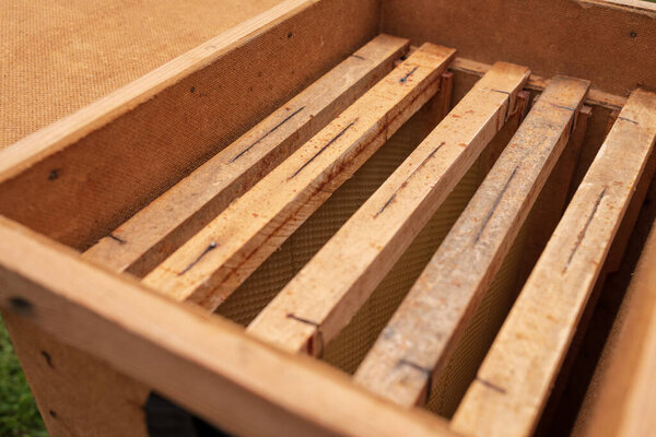 Winged bee slowly flies to beehive collect nectar on private apiary from live flowers. Apiary consisting of village beehive, floret dust on bee legs. Apiary it beehive for bees at background closeup.