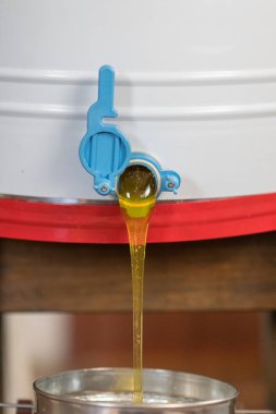 Altın nektarla doldurulmuş altıgen bal peteklerinden bir damla bal damlıyor. Bal peteği yaz kompozisyonu. Doğal bal damlası, balmumu çerçeveli arı damlası. Bal damlası bal damlatıyor bal peteğine.