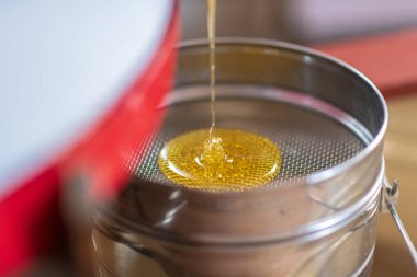 Altın nektarla doldurulmuş altıgen bal peteklerinden bir damla bal damlıyor. Bal peteği yaz kompozisyonu. Doğal bal damlası, balmumu çerçeveli arı damlası. Bal damlası bal damlatıyor bal peteğine.