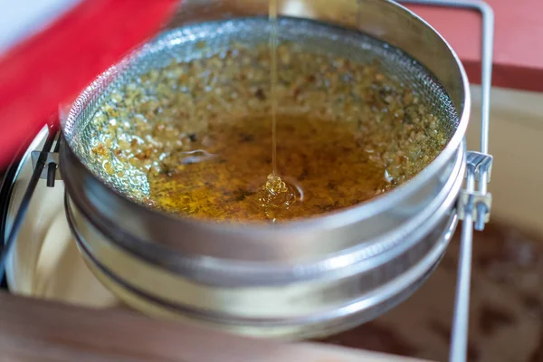 Altın nektarla doldurulmuş altıgen bal peteklerinden bir damla bal damlıyor. Bal peteği yaz kompozisyonu. Doğal bal damlası, balmumu çerçeveli arı damlası. Bal damlası bal damlatıyor bal peteğine.