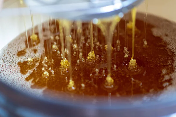 Kapka Včelího Medu Kape Šestiúhelníkových Plástů Naplněných Zlatým Nektarem Letní Stock Snímky