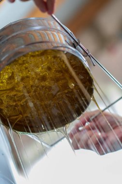 Altın nektarla doldurulmuş altıgen bal peteklerinden bir damla bal damlıyor. Bal peteği yaz kompozisyonu. Doğal bal damlası, balmumu çerçeveli arı damlası. Bal damlası bal damlatıyor bal peteğine.