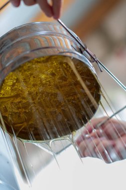 Altın nektarla doldurulmuş altıgen bal peteklerinden bir damla bal damlıyor. Bal peteği yaz kompozisyonu. Doğal bal damlası, balmumu çerçeveli arı damlası. Bal damlası bal damlatıyor bal peteğine.