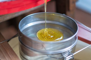 Altın nektarla doldurulmuş altıgen bal peteklerinden bir damla bal damlıyor. Bal peteği yaz kompozisyonu. Doğal bal damlası, balmumu çerçeveli arı damlası. Bal damlası bal damlatıyor bal peteğine.