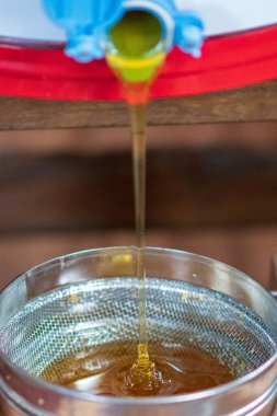 Altın nektarla doldurulmuş altıgen bal peteklerinden bir damla bal damlıyor. Bal peteği yaz kompozisyonu. Doğal bal damlası, balmumu çerçeveli arı damlası. Bal damlası bal damlatıyor bal peteğine.