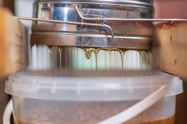 Altın nektarla doldurulmuş altıgen bal peteklerinden bir damla bal damlıyor. Bal peteği yaz kompozisyonu. Doğal bal damlası, balmumu çerçeveli arı damlası. Bal damlası bal damlatıyor bal peteğine.