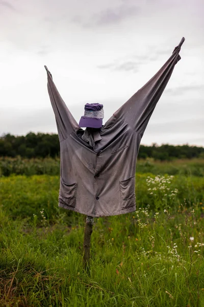 Scary Scarecrow Garden Discourages Hungry Birds Beautiful Landscape Consists Scary — Stock Photo, Image