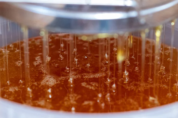 Altın nektarla doldurulmuş altıgen bal peteklerinden bir damla bal damlıyor. Bal peteği yaz kompozisyonu. Doğal bal damlası, balmumu çerçeveli arı damlası. Bal damlası bal damlatıyor bal peteğine.