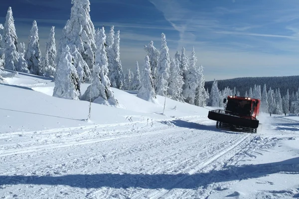 Winter Landscape with a Snow Cat — Stock Photo, Image