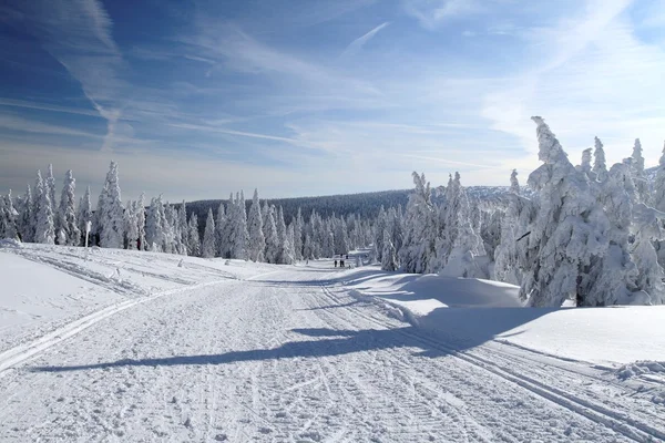 Nieve cubierto paisaje Imágenes De Stock Sin Royalties Gratis