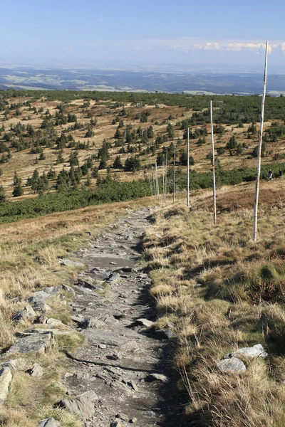 Ruta turística en la cresta de las montañas Jeseniky — Foto de Stock