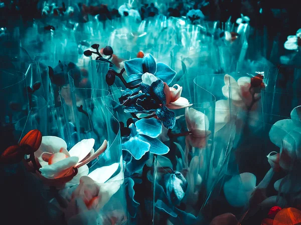 Orchideenblüten Ein Strauß Von Blumen Türkisen Und Roten Farben Geschäft — Stockfoto