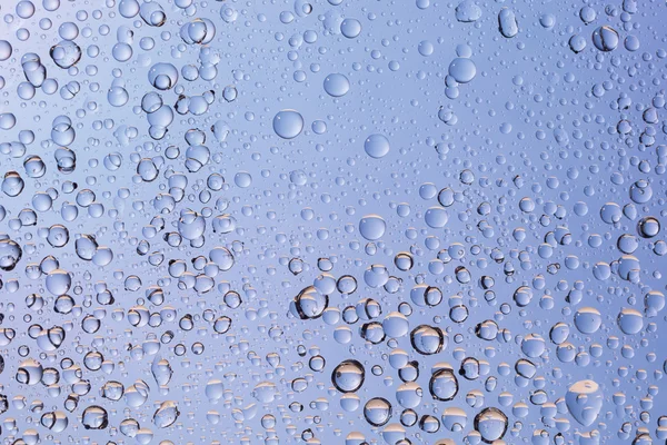 Close-up of water drops on gradient color background. bubbles abstract background — Stock Photo, Image