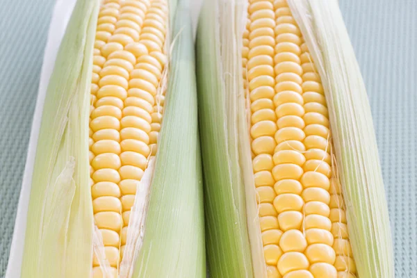 Mais auf dem Cob Nahaufnahme — Stockfoto