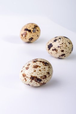 quail eggs on a white background. Food image with space for text clipart