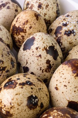 bıldırcın yumurtası beyaz zemin üzerinde. Metin için yer ile gıda görüntü