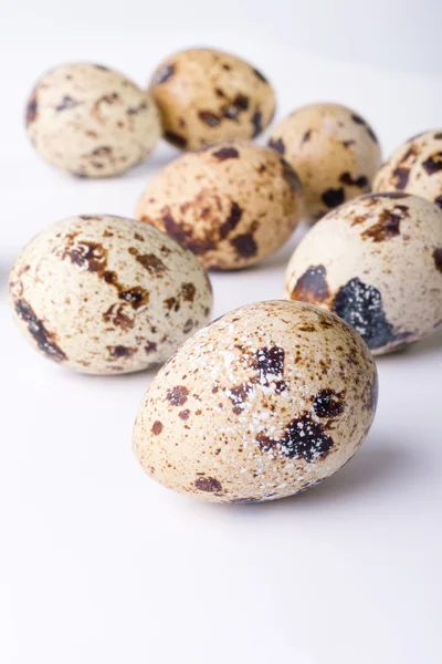 bıldırcın yumurtası beyaz zemin üzerinde. Metin için yer ile gıda görüntü