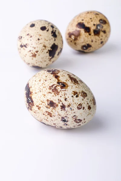 白い背景にウズラの卵。テキストのためのスペースを持つ食品イメージ — ストック写真