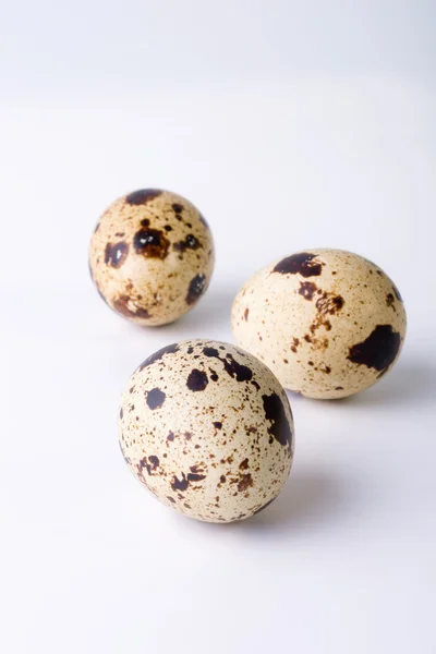 白い背景にウズラの卵。テキストのためのスペースを持つ食品イメージ — ストック写真