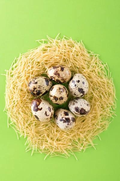 bıldırcın yumurtası pişmemiş makarna erişte yeşil bir arka plan üzerinde yuva şeklinde bir yastık üzerinde. Yatay düz nesneleri parlak bir arka plan üzerinde. Makarna İtalyan mutfağı