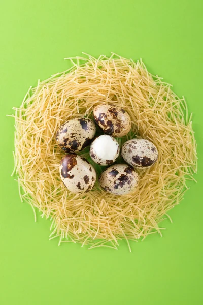 緑の背景に生パスタ麺の巣の形でクッションにウズラの卵。明るい背景上水平フラット オブジェクト。パスタ イタリア料理 — ストック写真