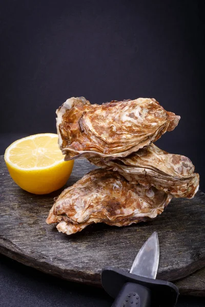 İstiridye ilk boyutu taş. taze ham gurme deniz ürünleri