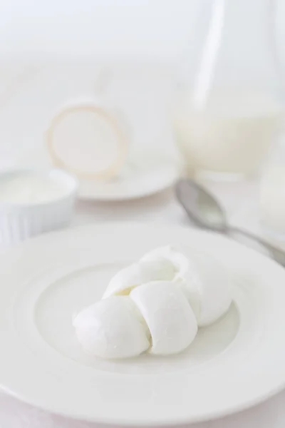 Kawałek sera w formie plecionki na białym talerzu. Zdjęcie produktu mleczarskiego w klucz światła. Martwa Natura w kolorze białym. Tradycyjny włoski produkt — Zdjęcie stockowe