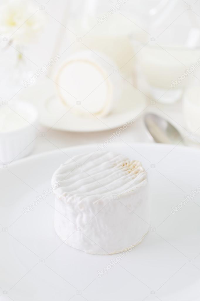 a piece of goat cheese on a white plate. Photo dairy product in a light key. still life in white.