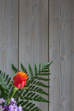 bir buket çiçek üzerinde kat .almaya alanı metin için farklı çeşitleri